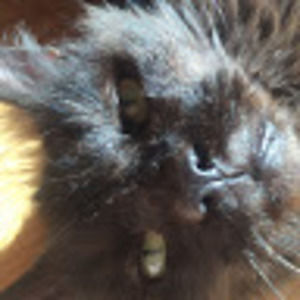 Meet your Posher, Mae